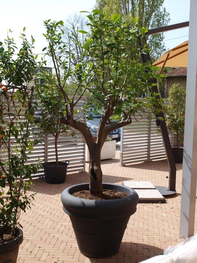 La Cascina Del Sole Hostel Rivarolo del Re ed Uniti ภายนอก รูปภาพ